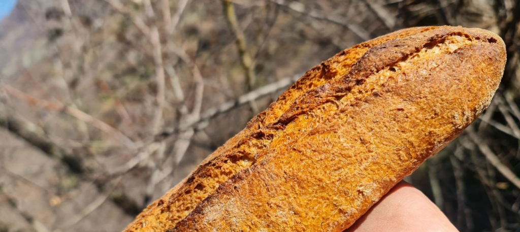 proprietà e benefici del pane integrale